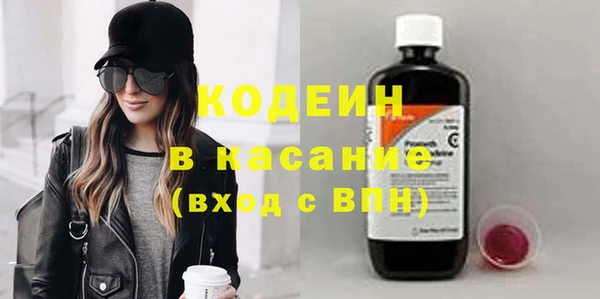 прущие грибы Козельск