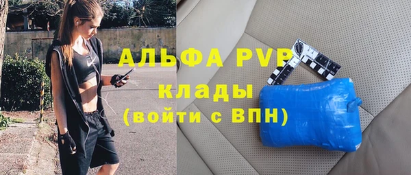 амф Щучье