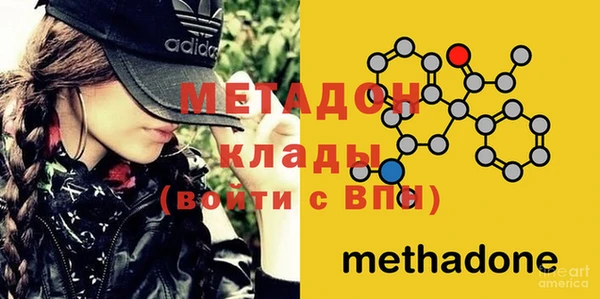 прущие грибы Козельск