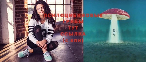 прущие грибы Козельск