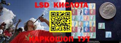 амф Дубна