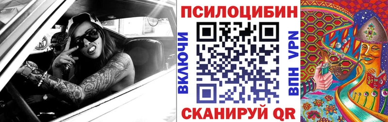 Псилоцибиновые грибы мицелий Елец