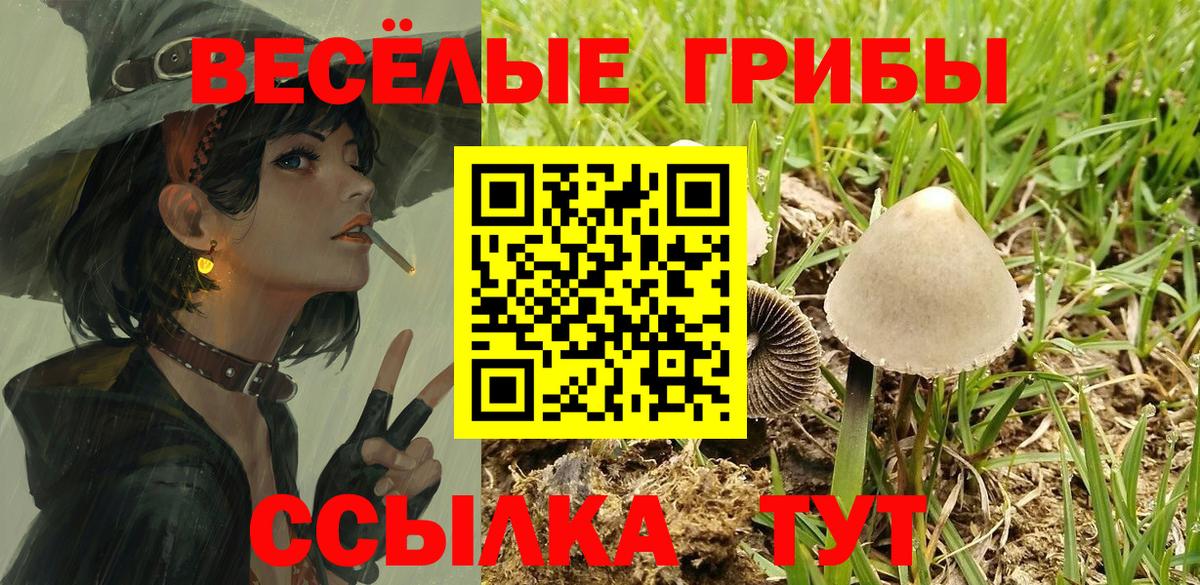 продажа наркотиков  Псилоцибиновые грибы MAGIC MUSHROOMS  Вход с VPN  Елец  Галлюциногенные грибы Cubensis 